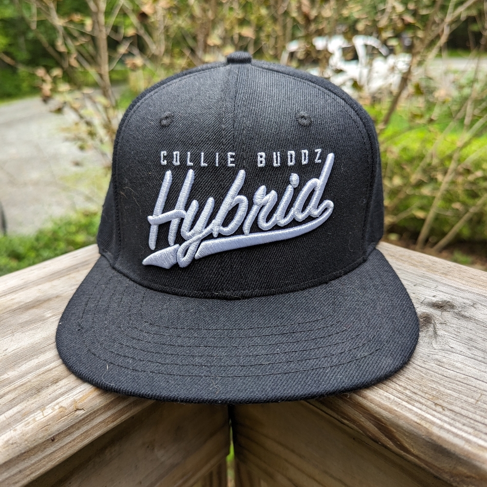 Collie Buddz hat‎